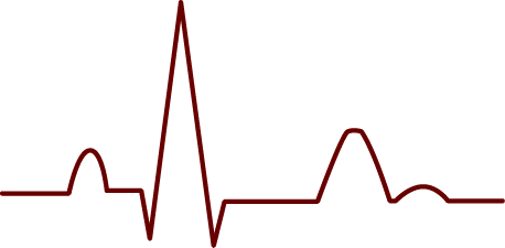 Шематски приказ на нормален ЕКГ бран со препознатливи P, QRS и T компоненти, нацртан со темно црвена линија на бела позадина.