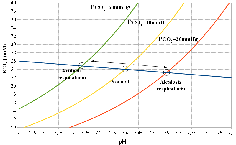 Дијаграм (Davenport diagram) кој прикажува криви на односот помеѓу pH вредноста и концентрацијата на бикарбонат [HCO3-] при различни вредности на парцијалниот притисок на јаглерод диоксид (PCO2 = 20, 40 и 60 mmHg). На графикот се означени три состојби: респираторна ацидоза, нормална состојба и респи