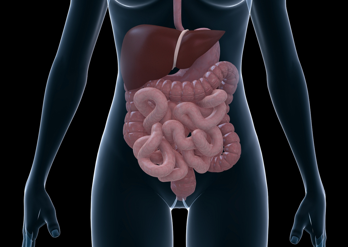 poslabi-za-3-sedmici-vo-crevata-mozhebi-imate-duri-15-kg-otrovi-vreme-e-da-gi-ischistite-kafepauza.mk